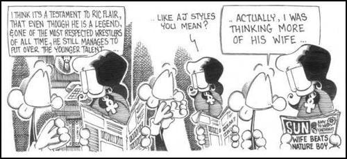 COMIC_FlairWife_500.jpg