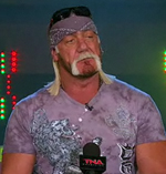 HoganHulkPress_150_3.jpg
