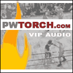 PWTorchVIPAudioLogo2.gif