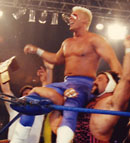 Sting90Celebrate_130WK_1.jpg