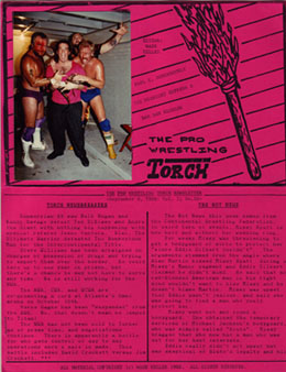 TorchCover025_260.jpg