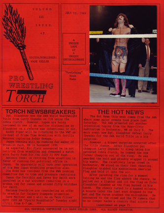 TorchCover047_333.jpg