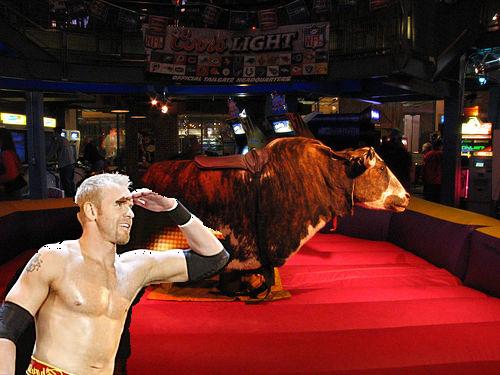 bull.jpg