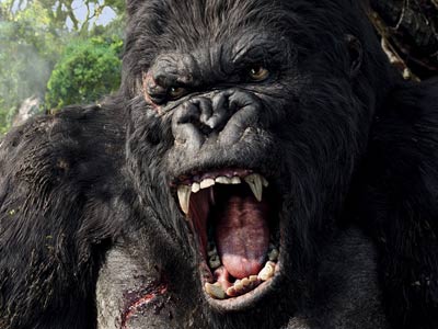 kingkong_1.jpg