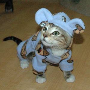 mrsnuggles.jpg