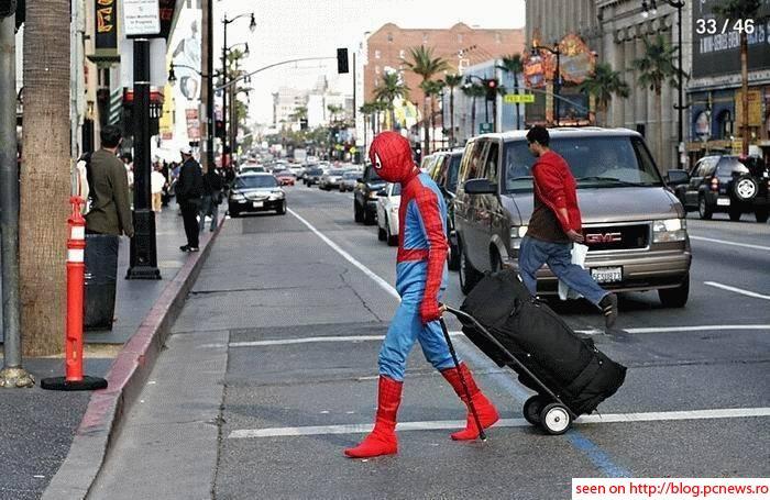 spidey.JPG