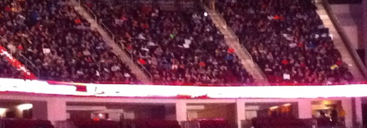 RawCrowd2_6.jpg