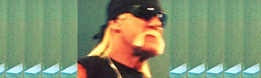 HoganHulk_TNA2012_Wide_TBpic_3.png