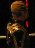 Goldust_LC_2.jpg
