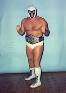 Mr._Wrestling_II.jpg