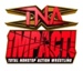 TNAImpactlogo_22.jpg