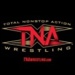 TNA_logo_36.jpg