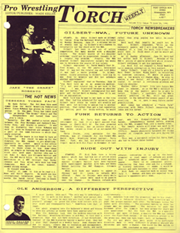 TorchCover075_260.png