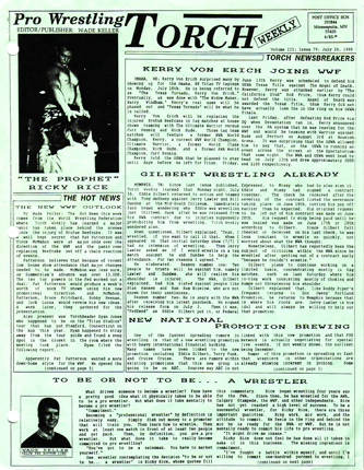 TorchCover079_333.png