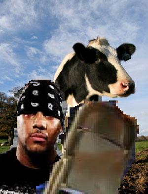 cow1.JPG