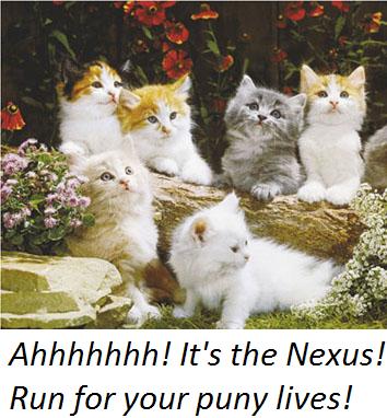 kitties.JPG