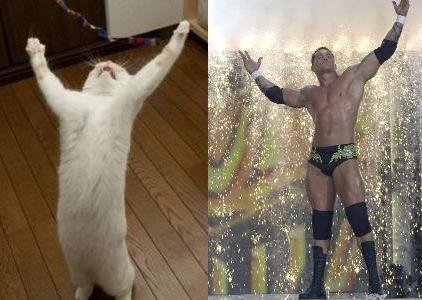 orton.jpg