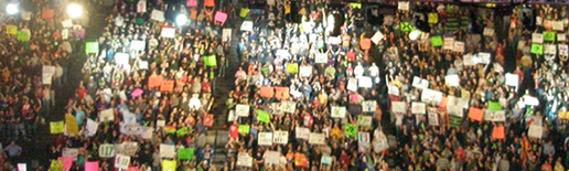 CrowdWithSigns_Wide_4.png