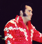 HonkyTonkMan_WK180.jpg