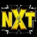 NXT6logo_24.jpg