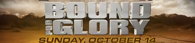 TNABFGPPV2012_1.png