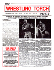 TorchCover170_180.jpg