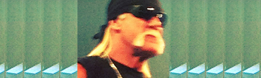 HoganHulk_TNA2012_Wide_TBpic_7.png