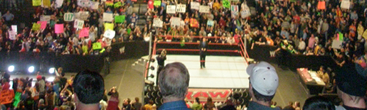 RawRingCrowd_Wide_28.png
