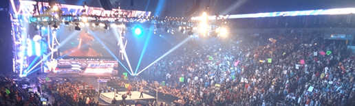 SmackdownCrowdRingWide_Wide_75.png
