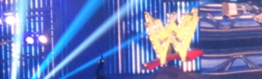 WWELogoStageGeneric_Wide_14.png