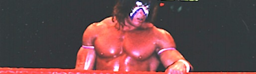 UltimateWarriorWK_wide2_1.jpg