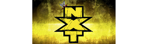 Logo-NXT-wide516.png