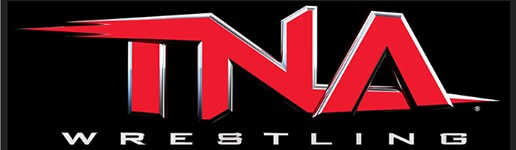Logo_TNA-wide516_1.png