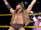 Former champions pitched for NXT call up to WWE